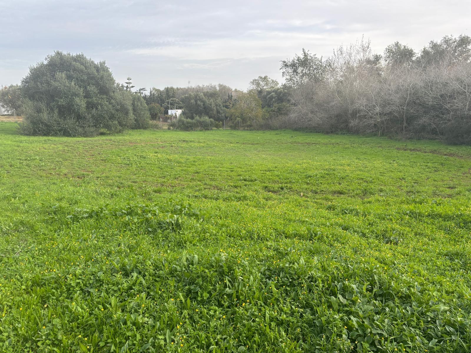 Terreno en venta en La Muela, Vejer de la Frontera