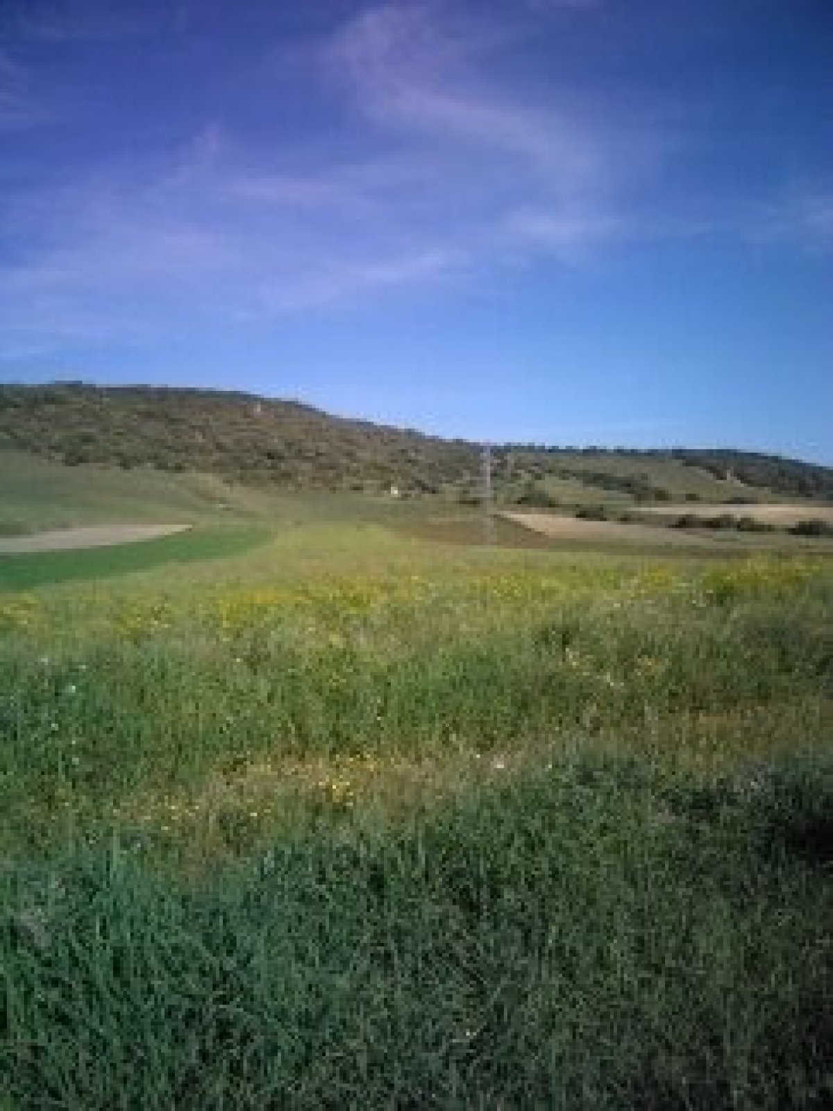 Terreno en venta en Cañada ancha, Vejer de la Frontera