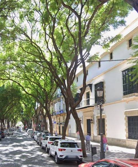 Piso de 7 dormitorios en venta en Centro, Jerez de la Frontera